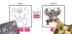 Программу научили превращать рисунки пользователей в фото котиков