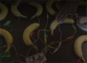 Геймер прошел Dark Souls 3 с помощью бананов
