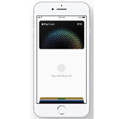 Apple Pay Cash будет собирать паспортные данные пользователей