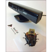 С помощью Microsoft Kinect живых тараканов превратили в роботов