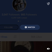 В Vine теперь можно автоматически проигрывать все видео на канале