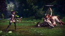 Условно-бесплатная MMO Tera выйдет на консолях в этом году