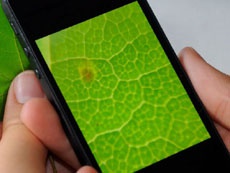 Линза стоимостью три цента может превратить смартфон в микроскоп