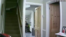 Видео с миллионов web-камер доступно через поисковик Shodan