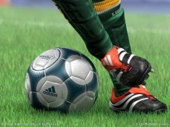 Топ-10 спорт-бизнесов, которые заработают на Евро-2012