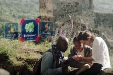 Авторы мобильных покемонов получат до 30 миллионов долларов от Google и Nintendo