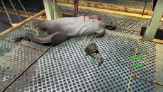 Геймер впервые прошел Fallout 4, никого не убив