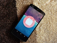 Google recognizes a  problem with the color reproduction in the  Nexus-smartphones