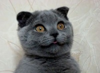 ����� �������������� � ������������ ����� � ��������� � �����