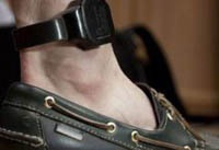 Інтернет-сепаратист із Кіровограда сидітиме під домашнім арештом