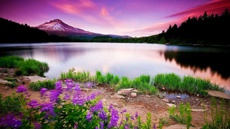 HD и FullHD 5-дюймовые экраны. Заметна ли разница?