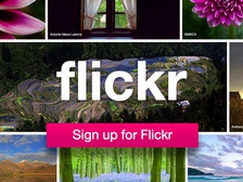 Flickr хочет заменить Instagram