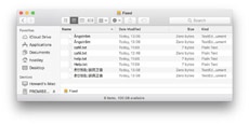 Новая файловая система Apple разрешает называть файлы только по-английски
