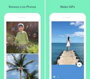 Приложение Google решит главную проблему живых фото на iPhone