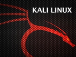 Представлен дистрибутив Kali Linux