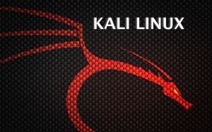 Представлен дистрибутив Kali Linux