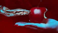 Новая версия банковского трояна для Windows атакует пользователей Mac