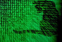 Кошка помогла полиции Японии выйти на след киберпреступника