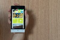 Windows Phone 7 и Windows Phone 8 — не без проблем