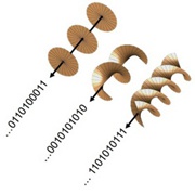 «Закрученный» свет многократно увеличит скорость Интернета