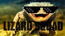 Правоохранители арестовали пользователей инструмента хакеров из Lizard Squad