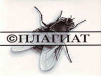 Две трети студентов занимаются плагиатом в Сети