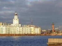 Кунсткамера в Cети