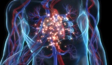 Израильские ученые будут лечить инфаркт через Интернет