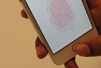 PayPal готова сотрудничать c Apple над мобильными платежами без пароля