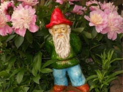 Мужчина продает в Интернете систему охраны в виде садового гнома