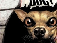 Осторожно: Интернет-дедовщина