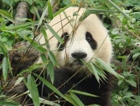 20% спама маскируется под сообщения о недоставке