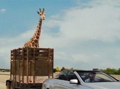 В интернете появился первый трейлер «Мальчишника в Вегасе 3»