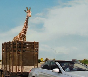 В интернете появился первый трейлер «Мальчишника в Вегасе 3»