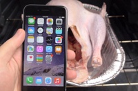 Энтузиаст запек iPhone 6 в индейке ко Дню благодарения