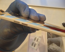 «Живые» фото золотого HTC One Mini