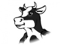 Приложение «В Контакте» обмануло миллионы пользователей