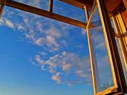 Ученик выбросился из окна школы из-за видео, размещенного в интернете