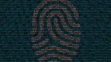 Что происходит с личными данными после взлома