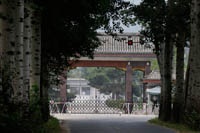 В Китае будут сажать за вранье в интернете