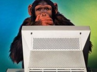 Адреса звезд в "Контактах": правда и ложь