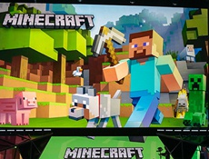 Чемпионат по Minecraft выиграл 10-летний мальчик