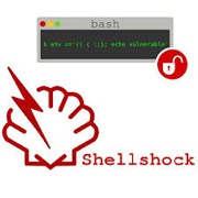 ShellShock эксплуатируется для осуществления атак на сетевые устройства хранения данных QNAP