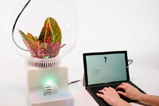 Microsoft научила растения разговаривать