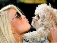 Основы интернет-маркетинга для блондинок