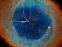 Wikipedia представлена в виде виртуальной галактики