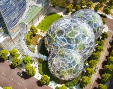 Biodome: Amazon строит футуристичный биоофис