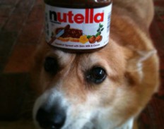 Самый добрый хакер в истории