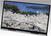 Japan Display готовит экраны для планшетов диагональю 10,1 дюйма разрешением Ultra HD