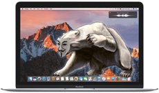 Троян Xagent для Mac похищает пароли, скриншоты и бекапы iPhone